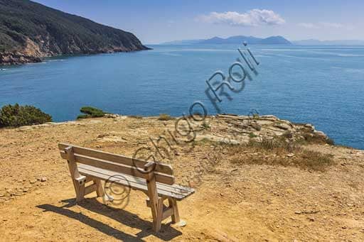 aa