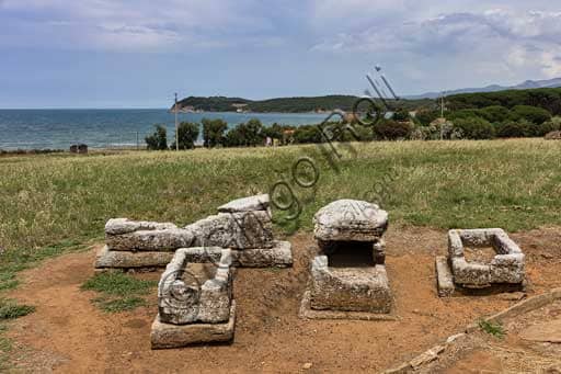 aa