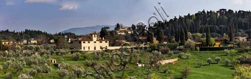 Vista panoramica Firenze con uliveti Villa San Leonardo dai Giardini di Boboli