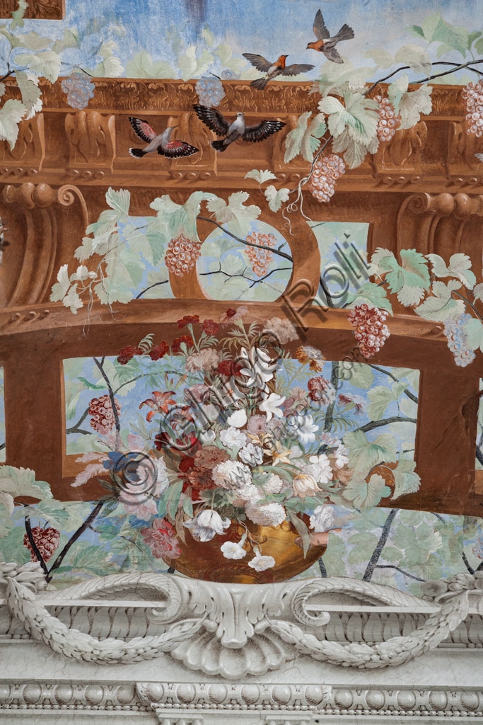Particolare affresco soffitto Galleria di Bacco, Sassuolo: tralci di vite, grappoli d'uva, fiori e uccelli di Jean Boulanger