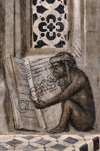Fresco monkey with glasses reading book Latin phrase, detail Alberi Library MODO Orvieto Italy