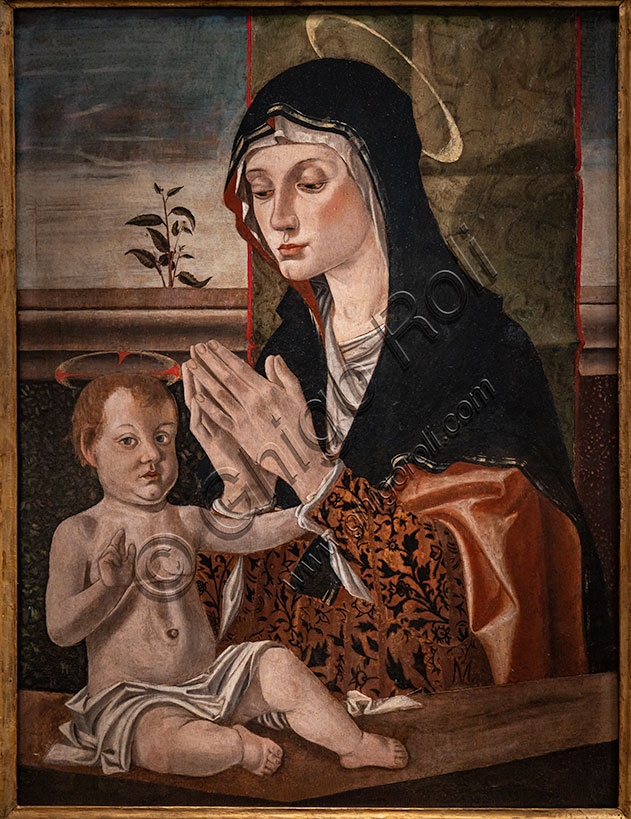 Madonna con Bambino, dipinto a olio su tavola di Bartolomeo Montagna (1475), arte rinascimentale