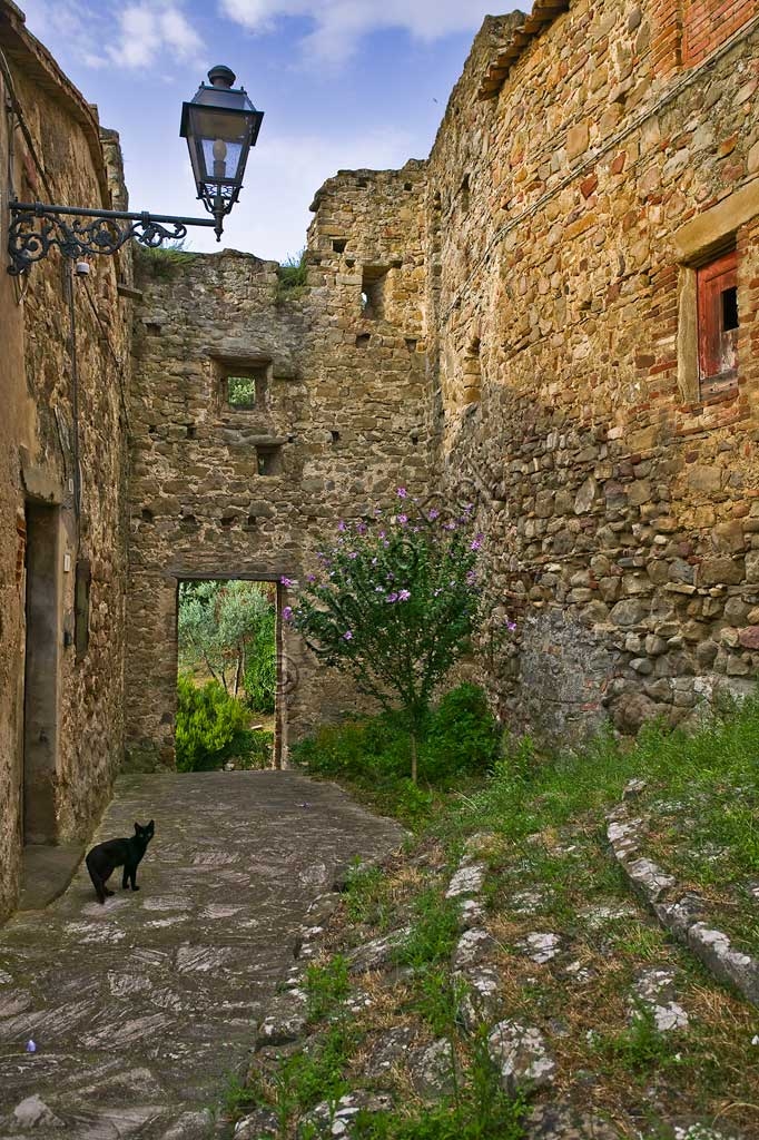 Vicolo nel borgo di Ceralto con un lampione antico e un piccolo gatto nero, Umbria