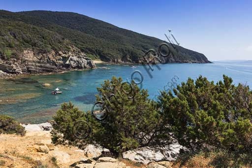 Panoramic view of Buca delle Fate bay, a pebble beach with turquoise waters on the Piombino Promontory in Tuscany, Italy
