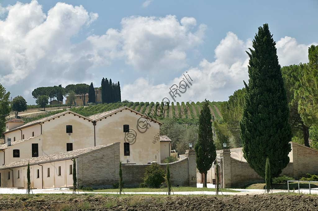 Scacciadiavoli Winery in Cantinone, Montefalco, with bottles of Sagrantino DOCG wine