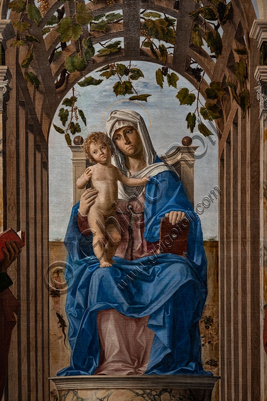 Particolare della Madonna in trono con Bambino, dipinto a olio su tela di Giambattista Cima da Conegliano, 1489