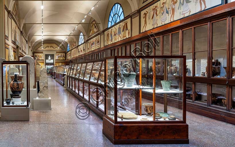 Veduta della Sala 101 del Museo Archeologico di Bologna con l'esposizione della sezione etrusca sulle necropoli