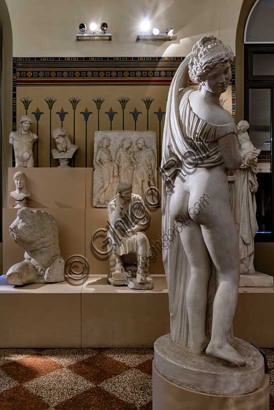 Interno della sala della gipsoteca con calchi in gesso al Museo Civico Archeologico di Bologna, Italia.