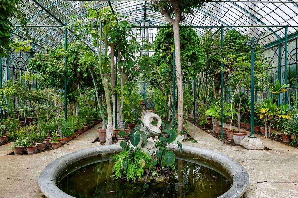 Scorcio architettonico di una serra in ferro e vetro nell'Orto Botanico di Palermo, con struttura ottocentesca e vegetazione lussureggiante