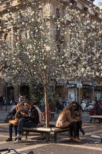 Persone sedute su una panchina sotto un albero fiorito a Padova centro storico