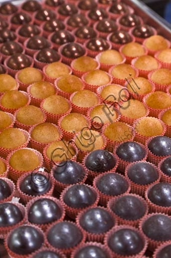 Chocolate pralines filled with Trentino grappa jelly, produced by Exquisita in Rovereto