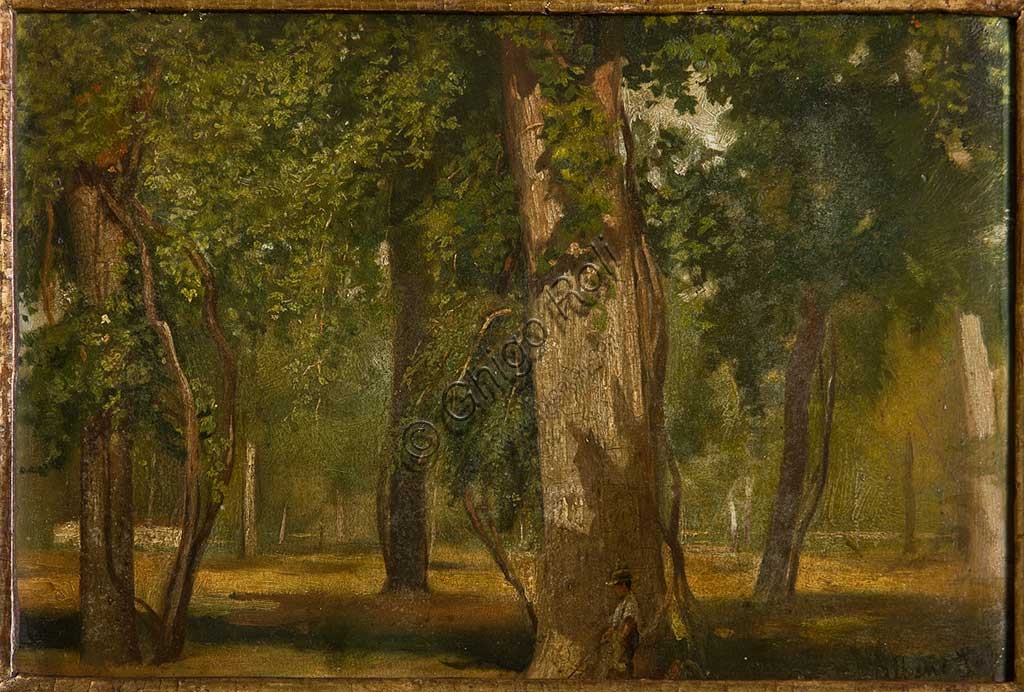 Quadro Il bosco di Albano Lugli - olio su tavola - Collezione Assicoop Unipol