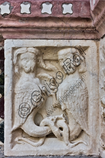 Scultura Arpie affrontate, formella basamento portale Duomo di San Lorenzo Genova