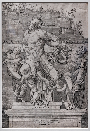 Incisione a bulino del Laocoonte di Marco Dente, stampa rinascimentale italiana
