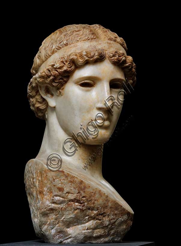 Testa scultura Atena Lemnia in marmo, Museo Archeologico Bologna, copia romana opera Fidia