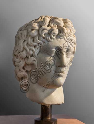Testa Giovanile Ideale in marmo con folta capigliatura, scultura classica del Museo Archeologico di Fiesole