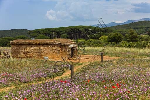 Tomba etrusca delle Pissidi Cilindriche nel Parco Archeologico di Baratti e Populonia, Toscana