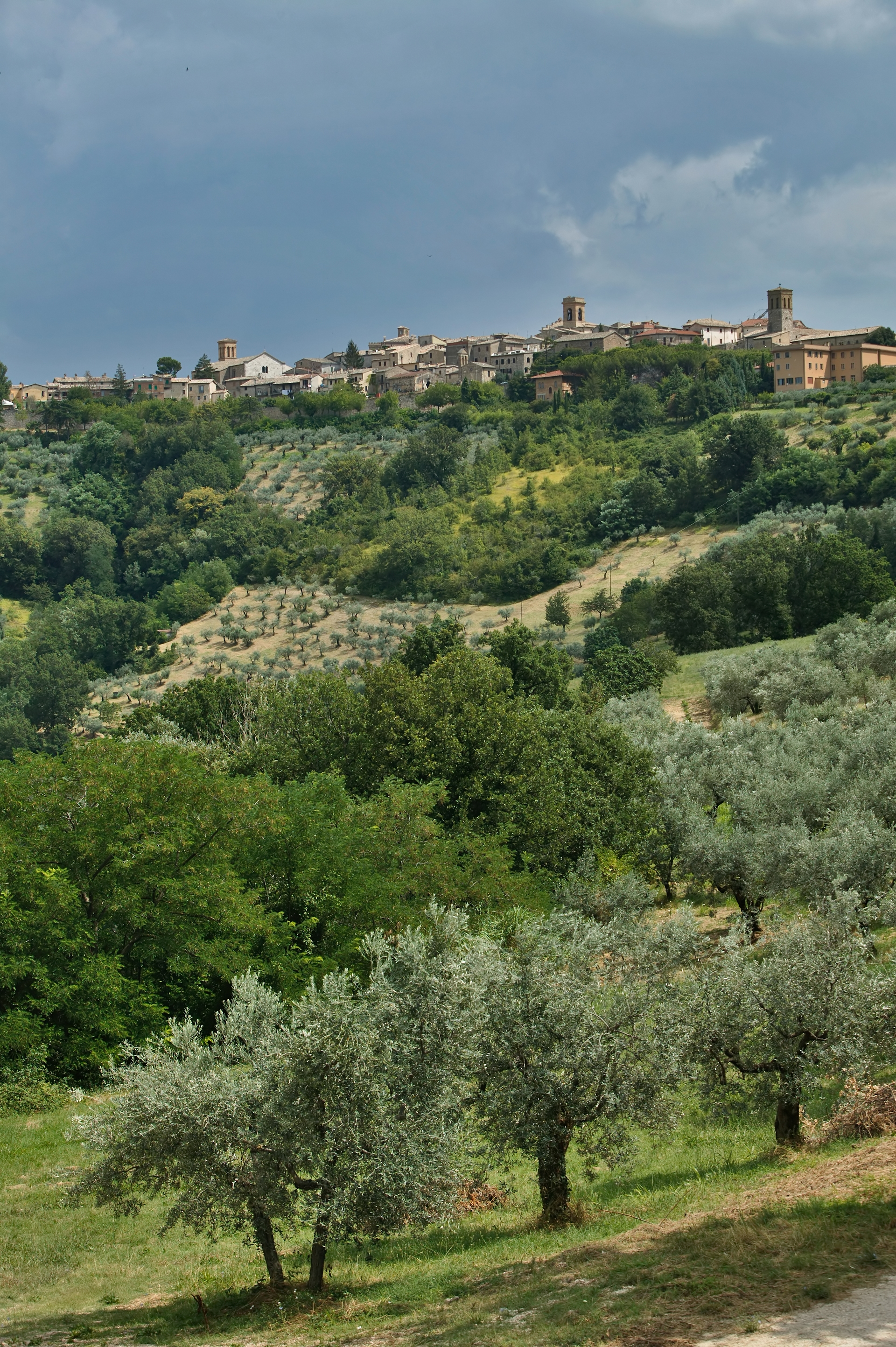 Veduta panoramica del paese di Montefalco e della campagna circostante in Umbria