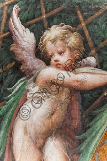 Parmigianino's Fresco in Fontanellato: The Myth of Diana and Actaeon