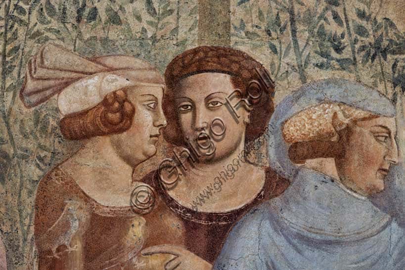 Buonamico Buffalmacco