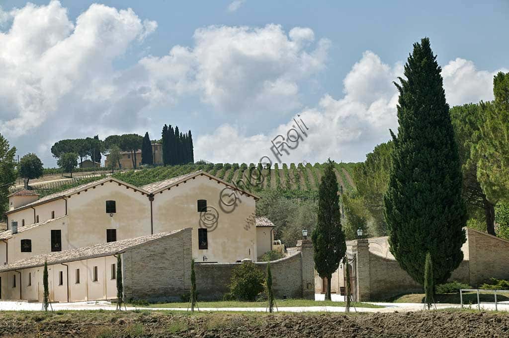 Scacciadiavoli Winery in Cantinone: Sagrantino di Montefalco DOCG