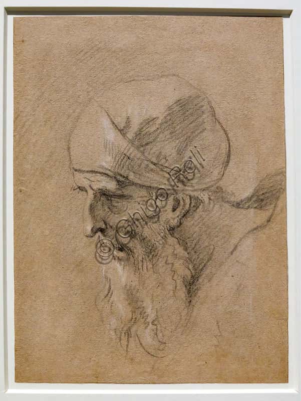 'Head of an Old Man' Master Drawing by Sebastiano Ricci