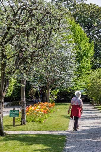 Borromeo Palace Garden, Isola Madre: A Partial View with Visitor