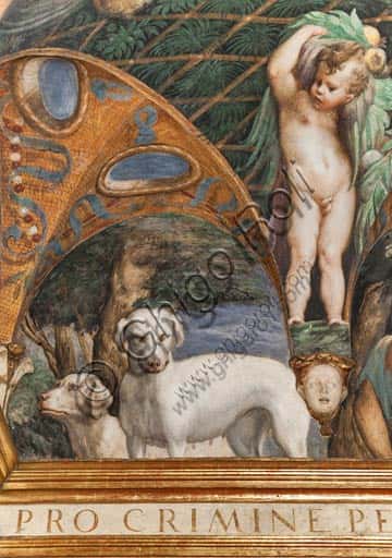 Dogs in the Room of Diana and Actaeon: Parmigianino's Fresco in Fontanellato