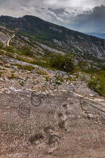 Rovereto Dinosaur Tracks: Jurassic Paw Prints in Italy