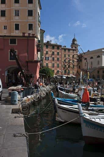 Camogli's Small Port: Historic Harbor on the Italian Riviera
