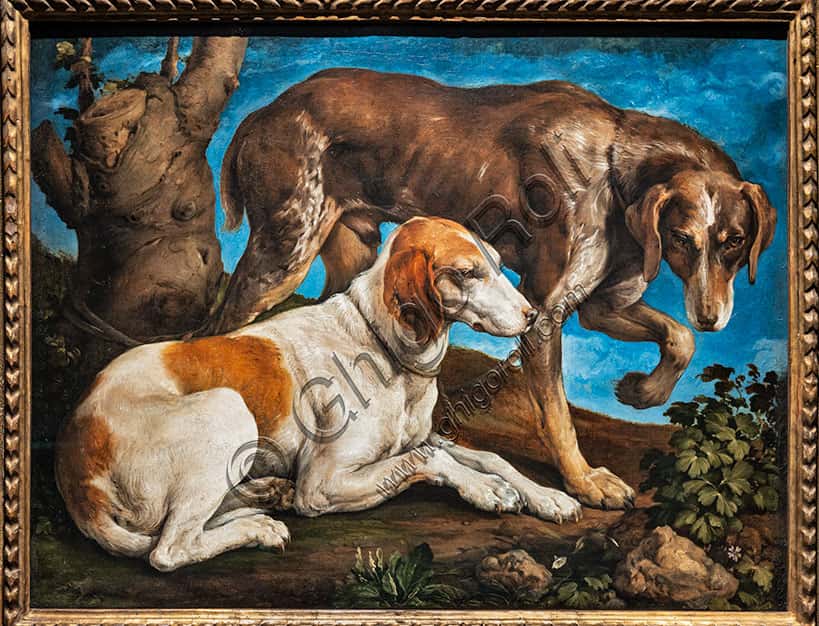 Portrait of Two Dogs by Jacopo Bassano: Analysis of the Renaissance Painting