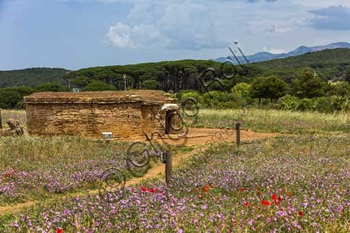 La Tomba delle Pissidi Cilindriche nella Necropoli Etrusca di Baratti