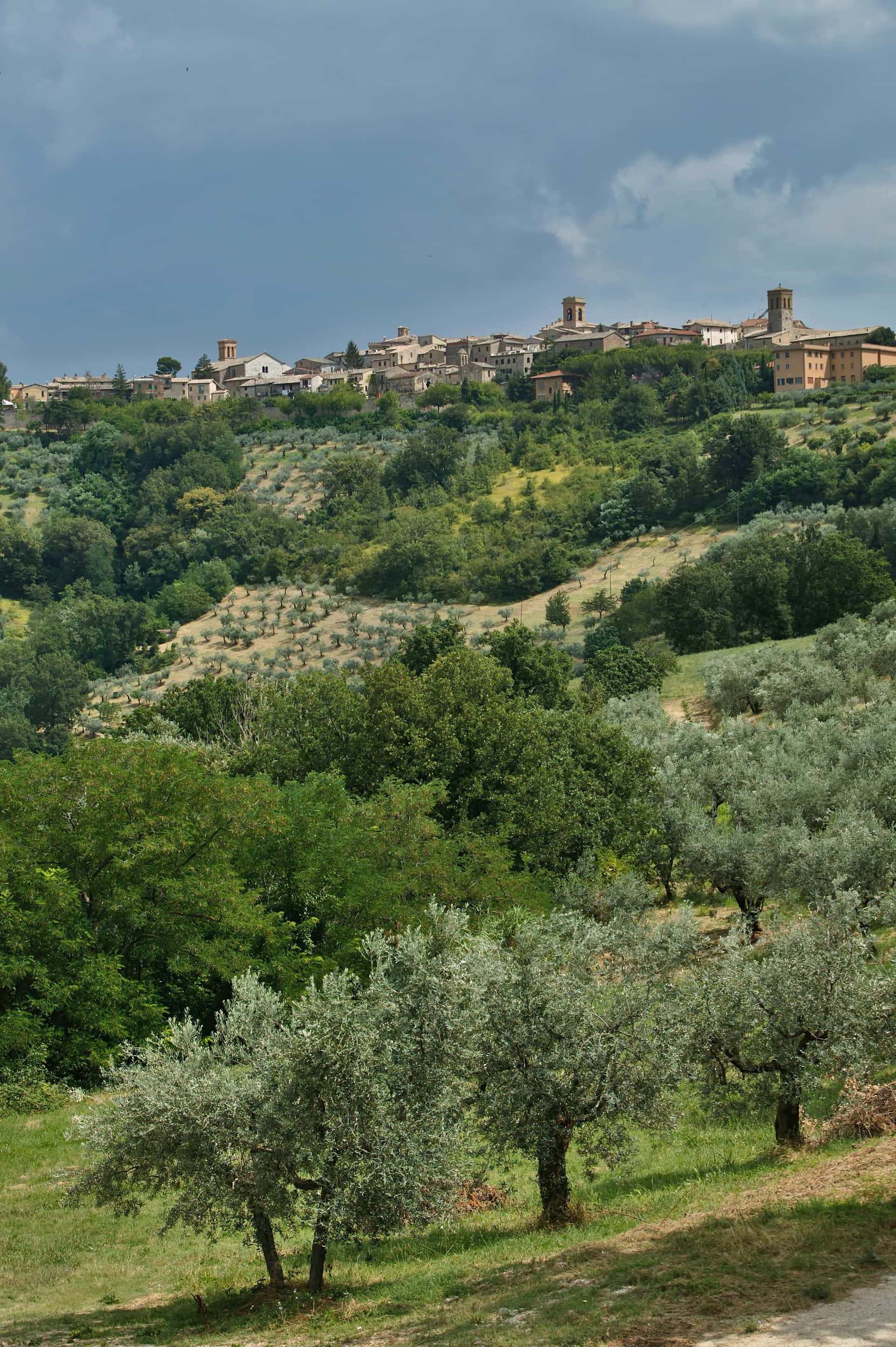 Montefalco: View of the Town and Umbrian Countryside