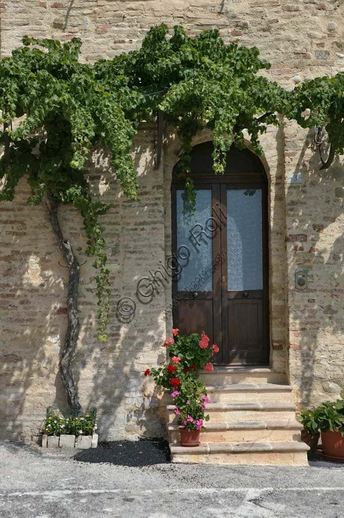 Montefalco Sagrantino: The Historic Vineyard Within Medieval Walls