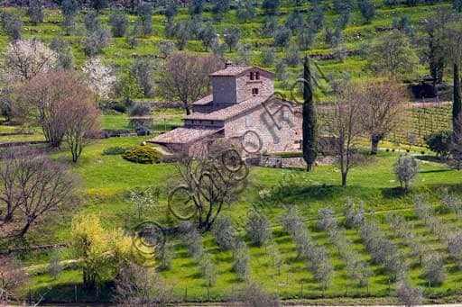 View of Castello d'Albola, a medieval hamlet and wine estate in Radda in Chianti, Tuscany, surrounded by vineyards, olive trees, and cypresses
