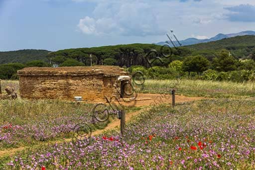 Etruscan Tomb of the Cylindrical Pyxides in the Baratti and Populonia Archaeological Park, Tuscany