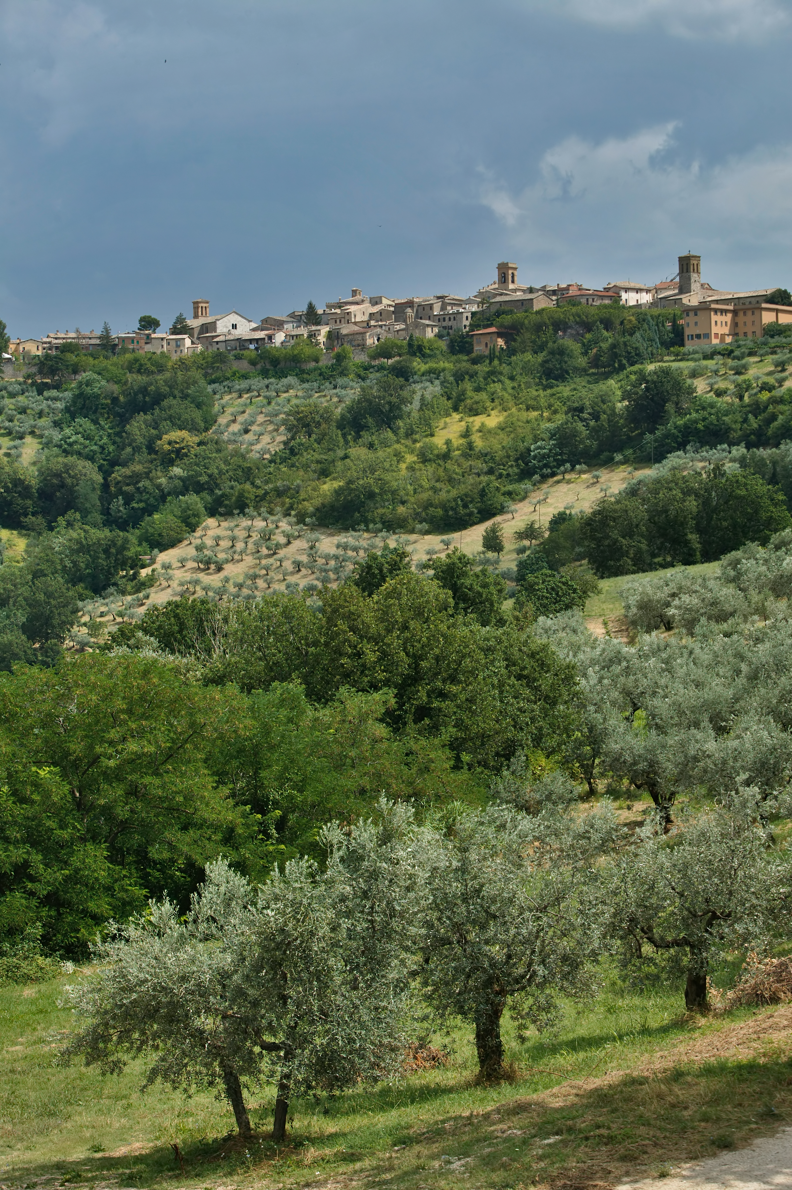 Panoramic view of the town of Montefalco and the surrounding countryside in Umbria, Italy