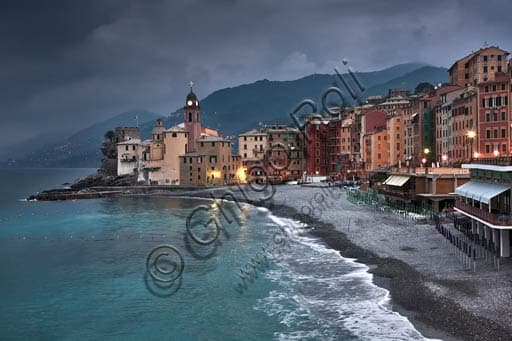 Veduta Serale della Spiaggia di Camogli con la Chiesa dell'Assunta