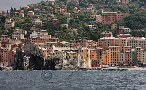 Veduta di Camogli: Case Colorate, Spiaggia e il Castel Dragone