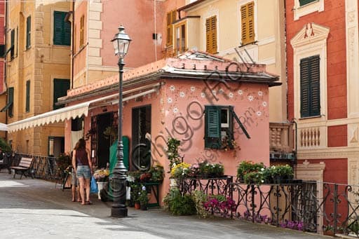 Veduta di Camogli: Casa Colorata e Fiori in Via Repubblica