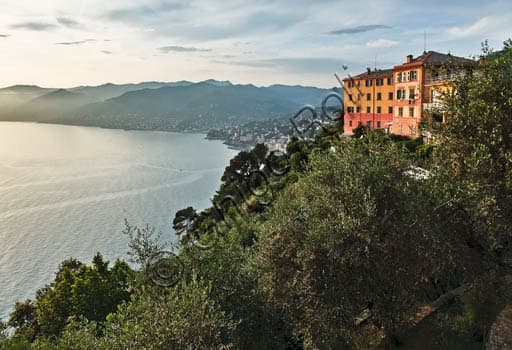 View of Paradise Gulf from the Historic San Rocco to Punta Chiappa Mule Track