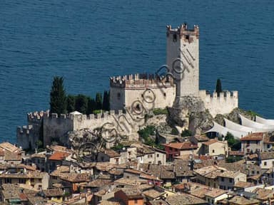 main