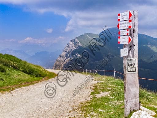 Altopiano del Monte Baldo: Sentieri Escursionistici e Panorama sul Lago di Garda