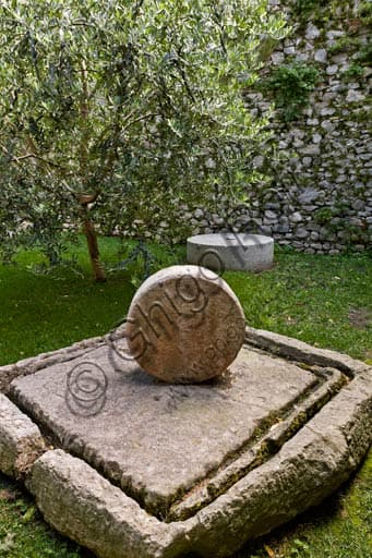 Scaligero Castle in Malcesine: Ancient Olive Press and Historic Tree
