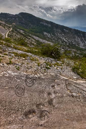 Le Piste dei Dinosauri di Rovereto: Orme Giurassiche in Trentino