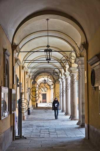 Porticato dell'Università di Pavia: Architettura Storica su Strada Nuova