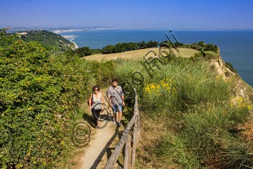 Sentiero Costiero del Parco Naturale Monte San Bartolo, da Gabicce a Pesaro