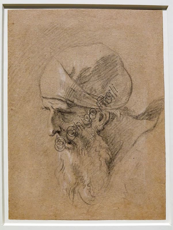 'Head of an Old Man' Master Drawing by Sebastiano Ricci