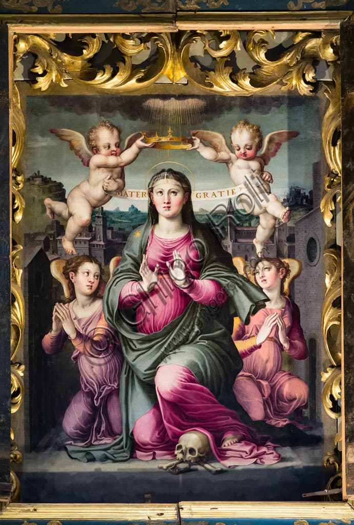 Madonna delle Grazie di Raffaellino del Colle: il dipinto del 1555