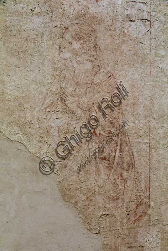 Dettaglio della Vergine nella sinopia preparatoria dell'Annunciazione di Benozzo Gozzoli, Museo delle Sinopie di Pisa